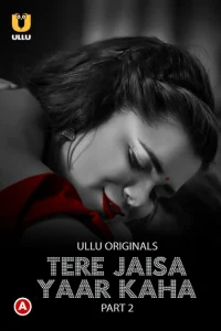 [18+] Tere Jaisa Yaar Kaha (2023) S01 Hindi Ullu WEB-DL 1080p – 720p – 480p Download & Online Watch